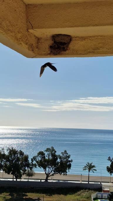 Apartamento 3 Habitaciones Con Piscina Y Vistas Al Mar بينيكاسّين المظهر الخارجي الصورة